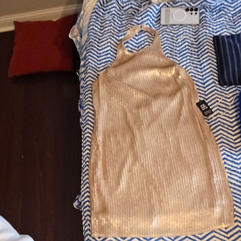 Express Gold Sequin Top